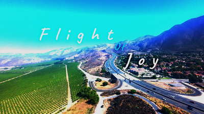 Flight Of Joy